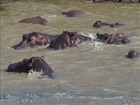 Hluhluwe River